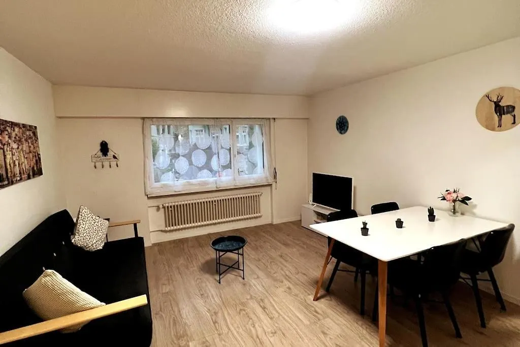 2.5 Rooms Furnished Apartment In Luzern Nr 12-1