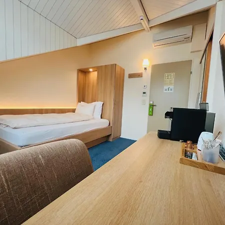 Hotel Felmis-3