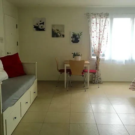 Charming Studio Near Rotsee Lucerne Kitchen, Wifi, Washing Machine-3