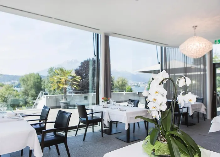 Tertianum Residenz Bellerive Appartement Luzern