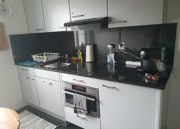 Bastis Luxury Studios Central Luzern