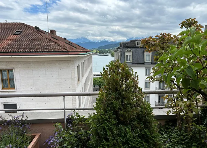 Huisdiervriendelijke hotels in Luzern